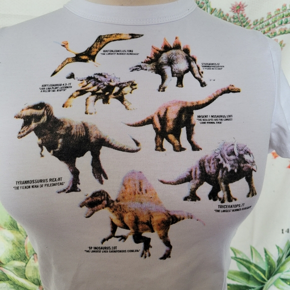 Dinosaur crop top - Picture 2 of 3